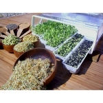 Микроферма EasyGreen