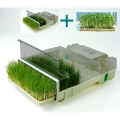 Микроферма EasyGreen Микроферма EasyGreen