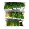 Микроферма EasyGreen Микроферма EasyGreen